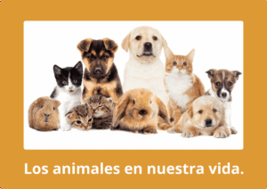 Los animales en nuestra vida compressed