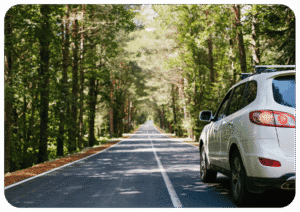 Bez nazwy A4 orientacja pozioma 78