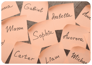 Bez nazwy A4 orientacja pozioma 81